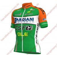 Radsport BARDIANI CSF 2018 Trikot Kurzarm