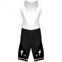 Fahrradbekleidung Radsport 2020 DECEUNINCK QUICK-STEP Irish Champion Trägerhosen Set