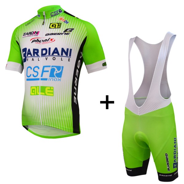 2015 Bardiani Csf Fahrradbekleidung Satz Fahrradtrikot Kurzarm Trikot und Kurz Trägerhose VNRA159 2015 Bardiani Csf Fahrradbekleidung Satz Fahrradtrikot Kurzarm Trikot und Kurz Trägerhose VNRA159