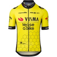 Bekleidung Herren Agu Team Visma Lease Trikot bei bike 2024