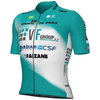 Bekleidung Herren Ale VF Group-Bardiani CSF-Faizane 2025 trikot