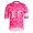 Bekleidung Herren Rapha EF Education EasyPost Pro Team Training 2025 Trikot