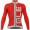 2016 ALE PRR ARCOBALENO Radtrikot Langarm-ROT GREY PHYV253