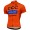 2017 CCC Sprandi Team Radtrikot Kurzarm 193FSWO